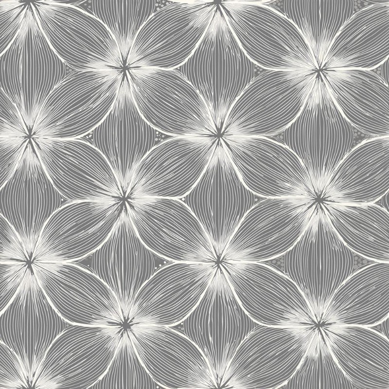 Afbeeldingen van Maximilian Grey - 1080001-03